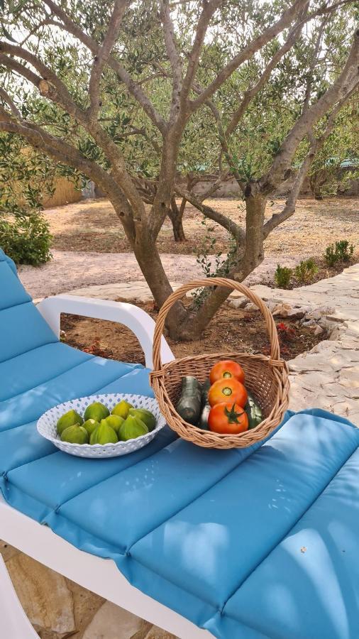 Villa Bubica- Cozy Holiday Home In Rural Area With Pool Stankovci  Ngoại thất bức ảnh